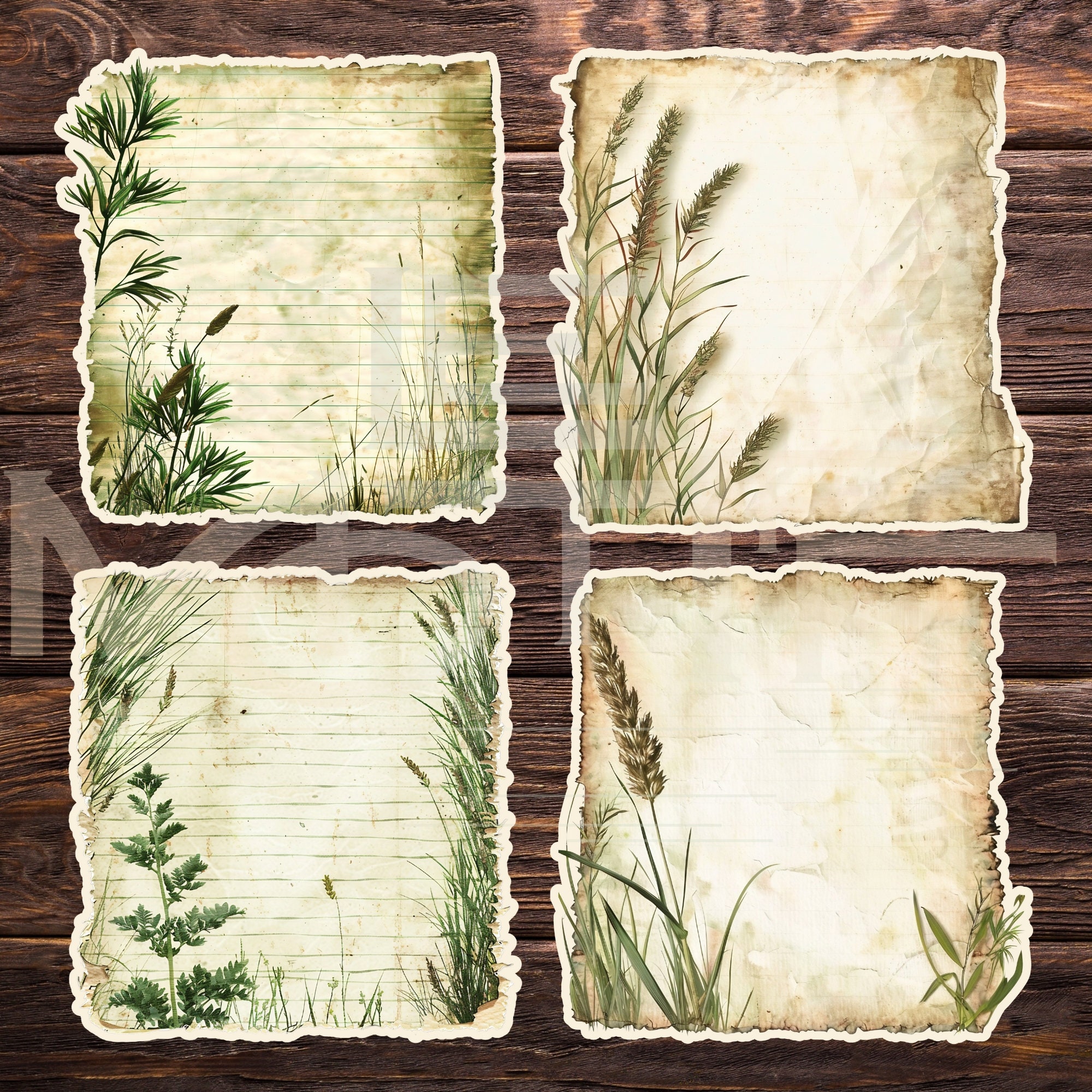 Grass Border Shabby Lined Notes FUSSY CUTS, PRINTABLE Rustic Parchment ...