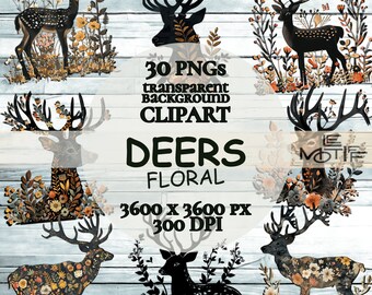 Floral Deer Clipart Bundle, Antler Silhouettes (Digital Pack)