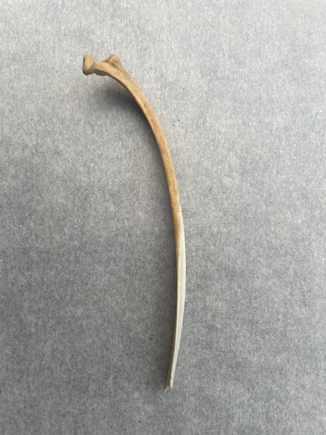 Real, Authentic Bone Simmered Maceration Cleaned Locally Sourced Animal