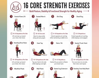 16 exercices de musculation de base à imprimer, affiche d'entraînement de base, exercices de posture pour les personnes âgées, tableau d'entraînement de l'équilibre PDF