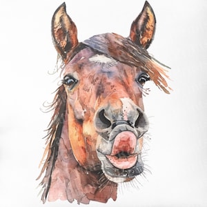 Funny Horse Watercolor Clipart, Cute Horse Neigh Horse PNG Commercial Use, Funny Horse Face Graphic Design, Funny Horse T-Shirt Sublimation