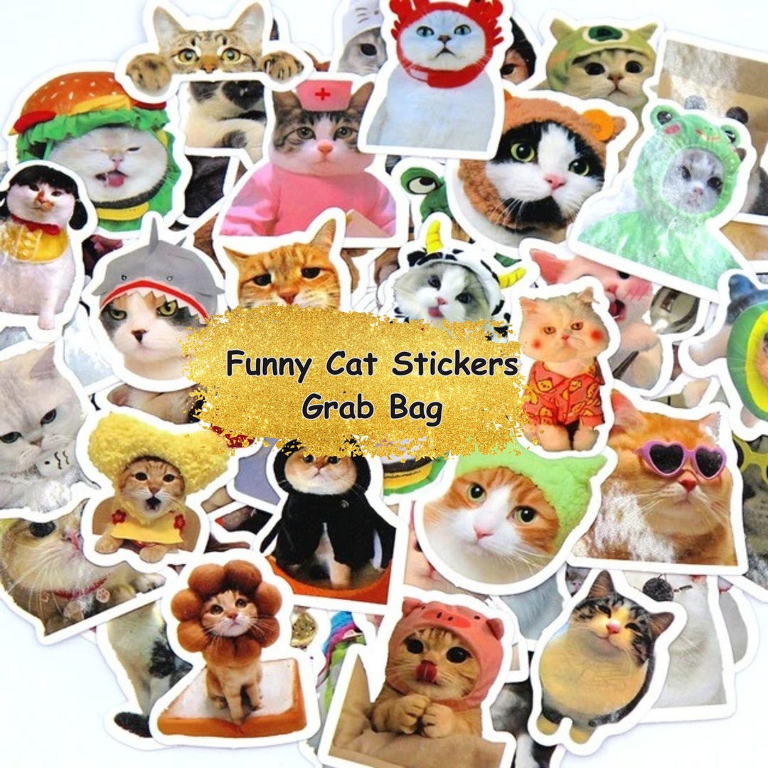 Meme Cat Stickers – Kawaii Kitten Decals, Laptop & Journaling Vinyl ...