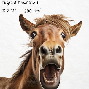 Whimsical Horse Face Clipart - Adorable Neighing Horse PNG, Graphics for Commercial Use, Perfect for Funny Horse themed Designs, Funny Horse