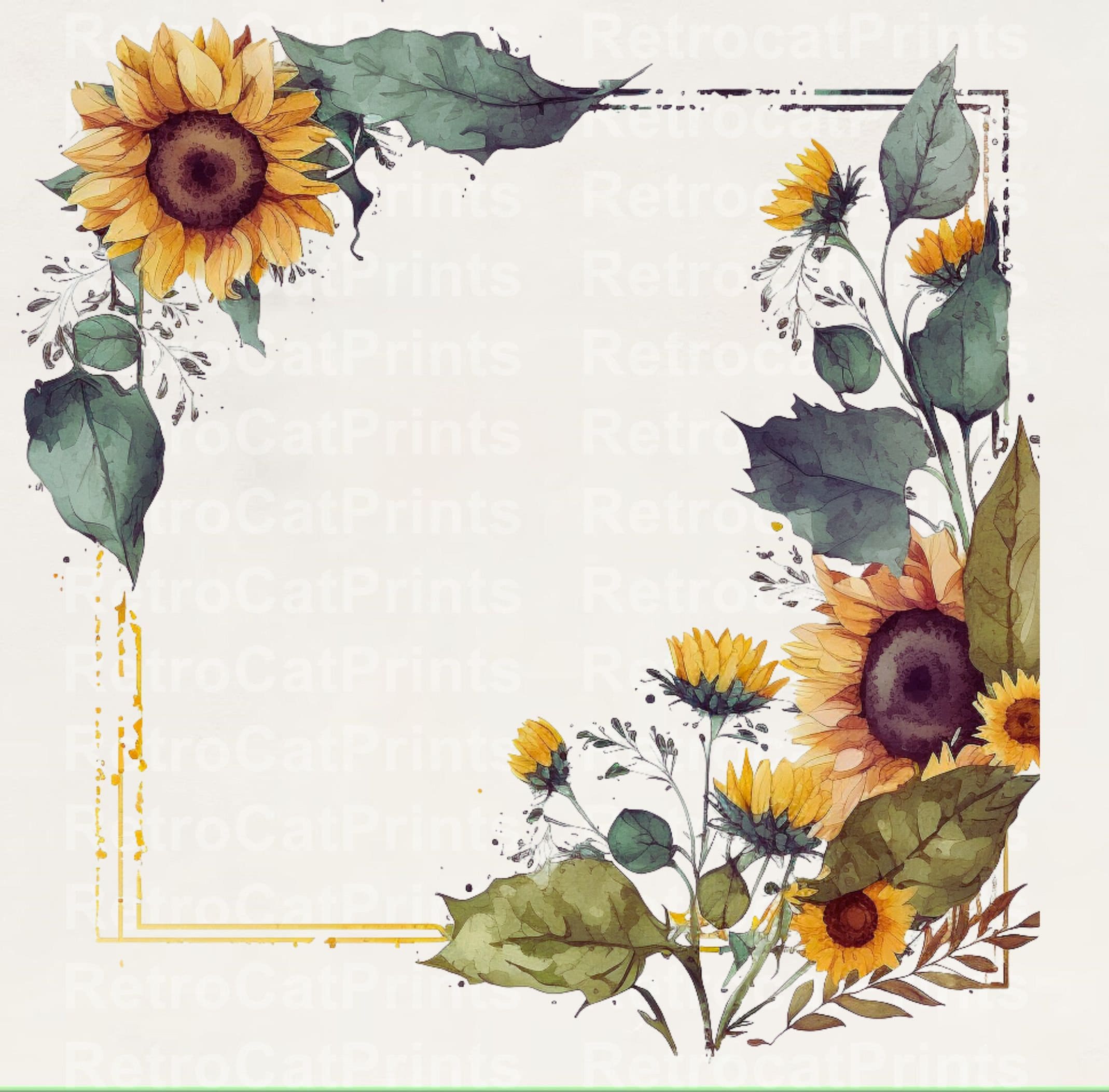 Amazoncom Sunflower Wallpaper Border