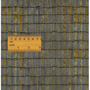May include: A close-up of a textured roof made of gray tiles with yellow lichen growing on them. A ruler is placed on the roof for scale, showing 8 centimeters.