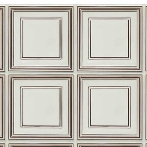 May include: A white cabinet door with a raised panel design. The panel is surrounded by a dark brown frame.