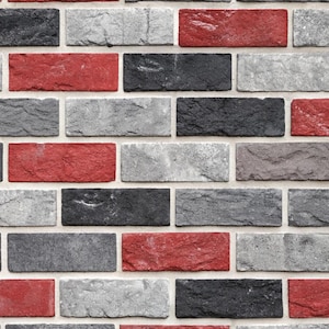 May include: Close-up of a brick wall with a repeating pattern. The bricks are rectangular and feature a mix of colors, including red, black, and gray. The mortar is a light gray color.