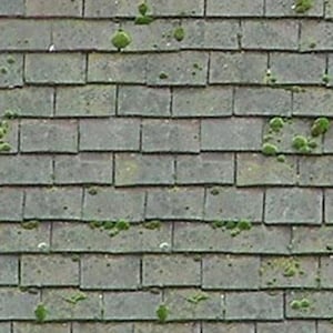 May include: A close-up of a roof covered in gray slate tiles with green moss growing in patches. A ruler is visible on the left side of the image.