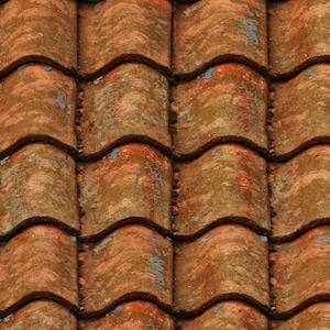 May include: Close-up of weathered terracotta roof tiles. The tiles have a wavy design and are a mix of reddish-brown and muted green colors, with some areas showing signs of age and wear.