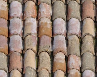 1/12 1/24 Dollhouse Old Damaged Half Round Pale Matte Red Clay Roof Tiles Seamless DIGITAL Printable Instant Download