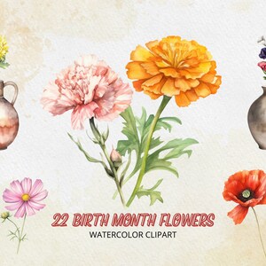 Watercolor Birth Month Flowers Clipart Set, Watercolor Floral PNG, Mother&#39;s Day Gift, Digital Download