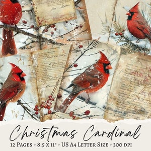 Cardinale rosso, diario spazzatura, pagina di carta stampabile, forniture per scrapbooking, forniture per artigianato, download digitale, effimere, Natale, uccello, neve