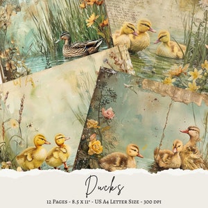 Duck Duckling Junk Journal, Scrappy Papers, Shabby Stamperia, Digital Collage Sheet, Scrapbooking Papiere, Digitaler Download, Frühling, Ostern
