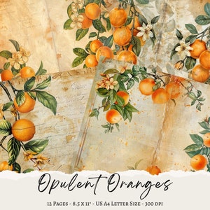 Páginas de diario imprimibles de naranjas, papel digital naranja, páginas de diario basura imprimibles, papel para álbumes de recortes, papel para páginas de diario de frutas, papel de cítricos