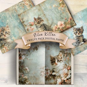 Carnet de bord bleu pour chaton, Papiers brouillons, Papier pour chat, Éphémères pour chats, Album de coupures de chats, Imprimable chat, Fond de chat, Scrapbooking de chats, Artisanat
