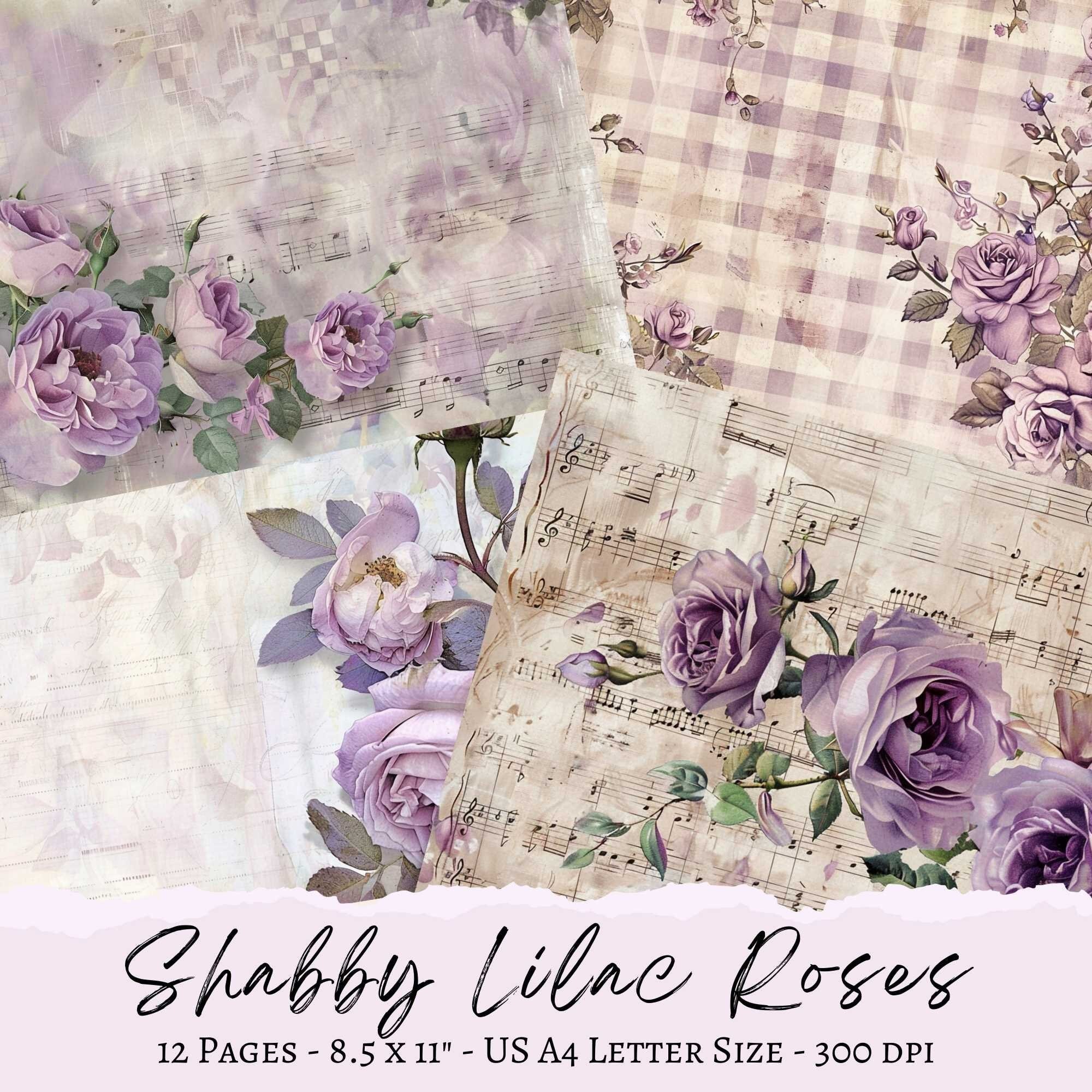 Diario basura con rosas lilas desgastadas, páginas con rosas, papel rosa, efímeras desgastadas, rosas de papel cuadriculado, efímeras de rosas, fondo con rosas, páginas desgastadas