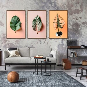 Collection of 3 High Quality Botanical Leaf Prints on muted pastel backgrounds. Fiddle Leaf Fig, Calathea, Caladium