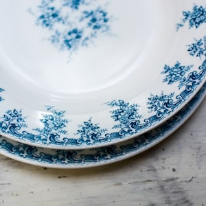 Vintage Blue and White Serving Plates - Set of 2 Cottagecore Style Plates