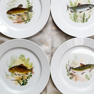 Set of 4 Vintage Plates with Fish Illustrations – Decorative Porcelain for Kitchen or Cabin