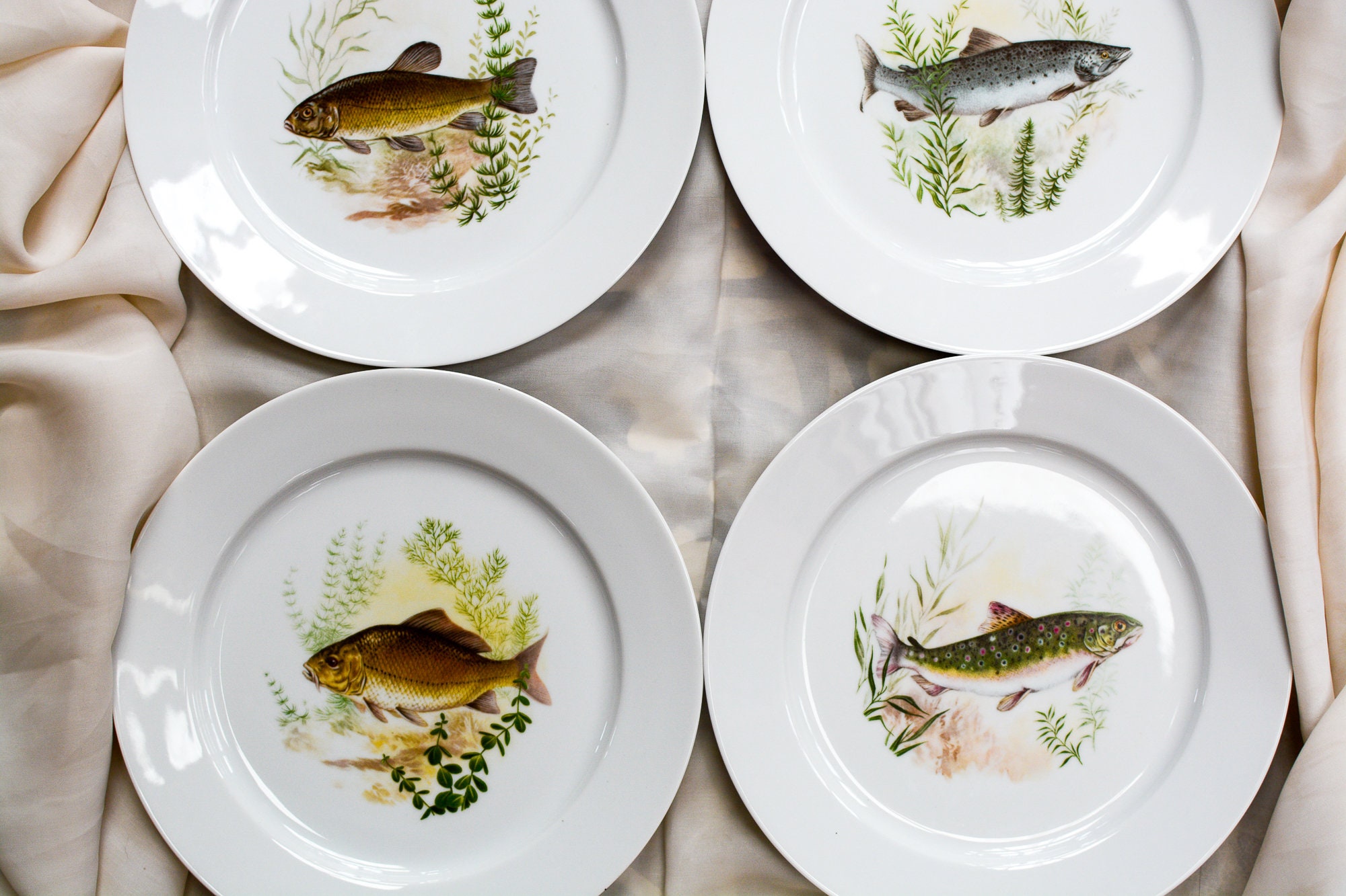 Vintage Porcelain Plates | Fish Illustrations - Etsy