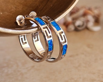 EQLEF Orecchini Tartaruga Argento Sterling 925 Simpatici Orecchini a Bottone con Animali Gioielli blu per Donna Ragazza