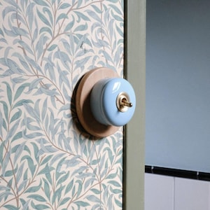 May include: A light blue toggle light switch mounted on a circular wooden base. The switch features a metallic gold-toned lever and a glossy finish, positioned against a wall covered in wallpaper with a repeating light blue and beige leaf pattern.