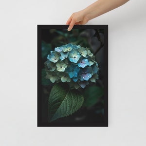 Blue and Green Hydrangea - Instant Download - Printable Art picture/poster of a beautiful flower perfect for any occasion