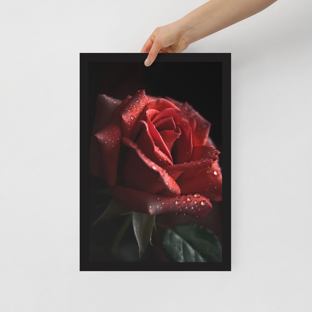Red Rose - Instant Download - Printable Art Picture/poster of a ...