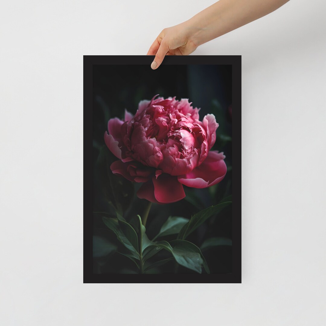 Pink Peony - Instant Download - Printable Art Picture/poster of a ...