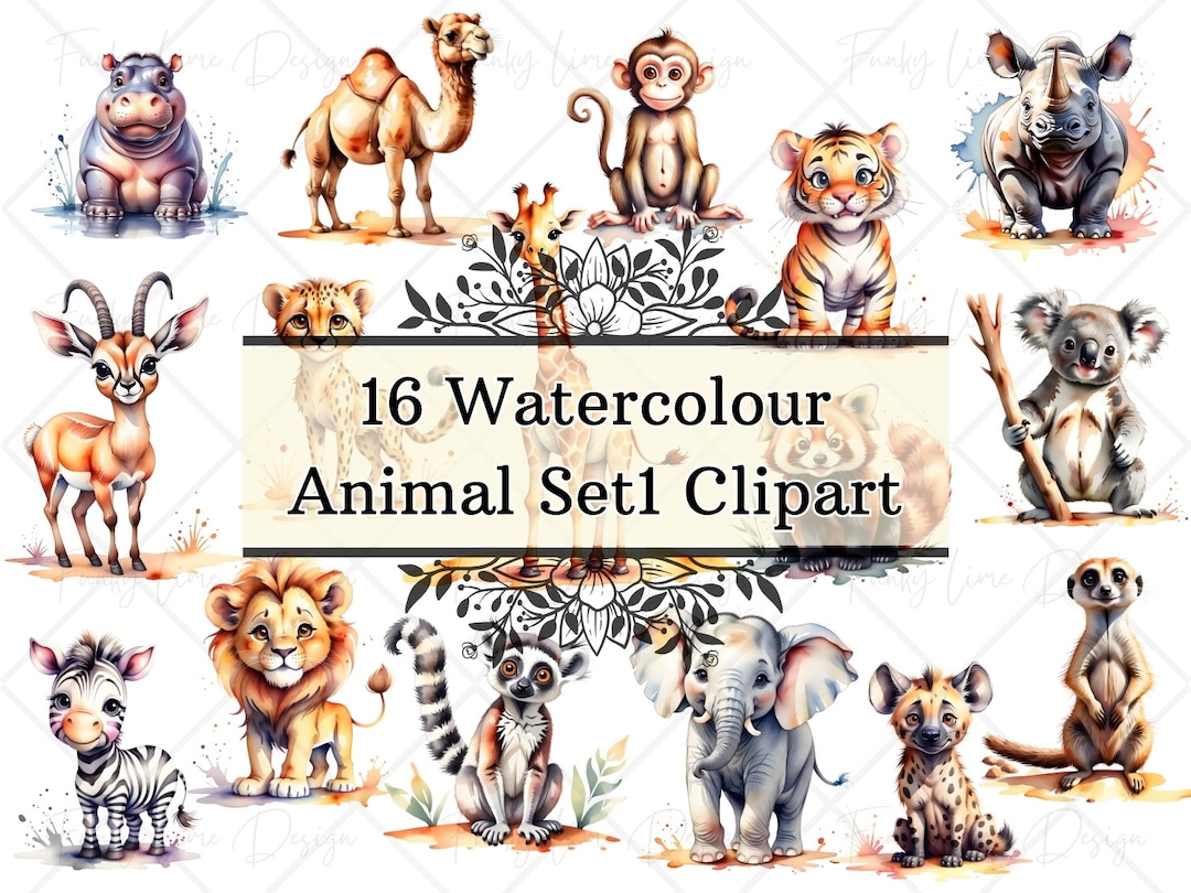 16 Cute Jungle Animals Clipart, Safari Baby Animal PNG, Watercolor ...