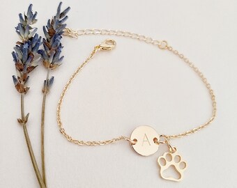 May include: A gold chain bracelet with a small round charm engraved with the letter "A" and a paw print charm. The bracelet is on a white background with dried lavender flowers.