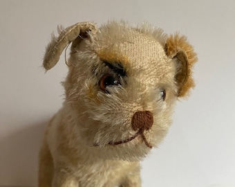 Early Steiff 1920&#39;s Spot eye dog / pup on all 4&#39;s with FF button