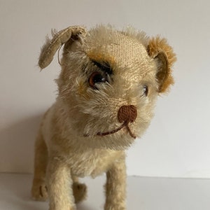 Steiff 1920's Fluffy Cat With Remnants of Blue Mohair - Made Steiff 1920's Fluffy Cat With Remnants of Blue Mohair - Made