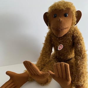 Steiff Aff / Monkey  60 PB 1903, Mohair, fully jointed - AMAZING