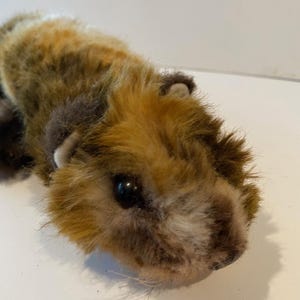 Puede incluir: Un juguete de peluche de castor con pelaje marrón, canela y negro. El animal de peluche tiene una cara detallada con ojos negros y bigotes. El castor está acostado, con su cuerpo ligeramente inclinado hacia el espectador.