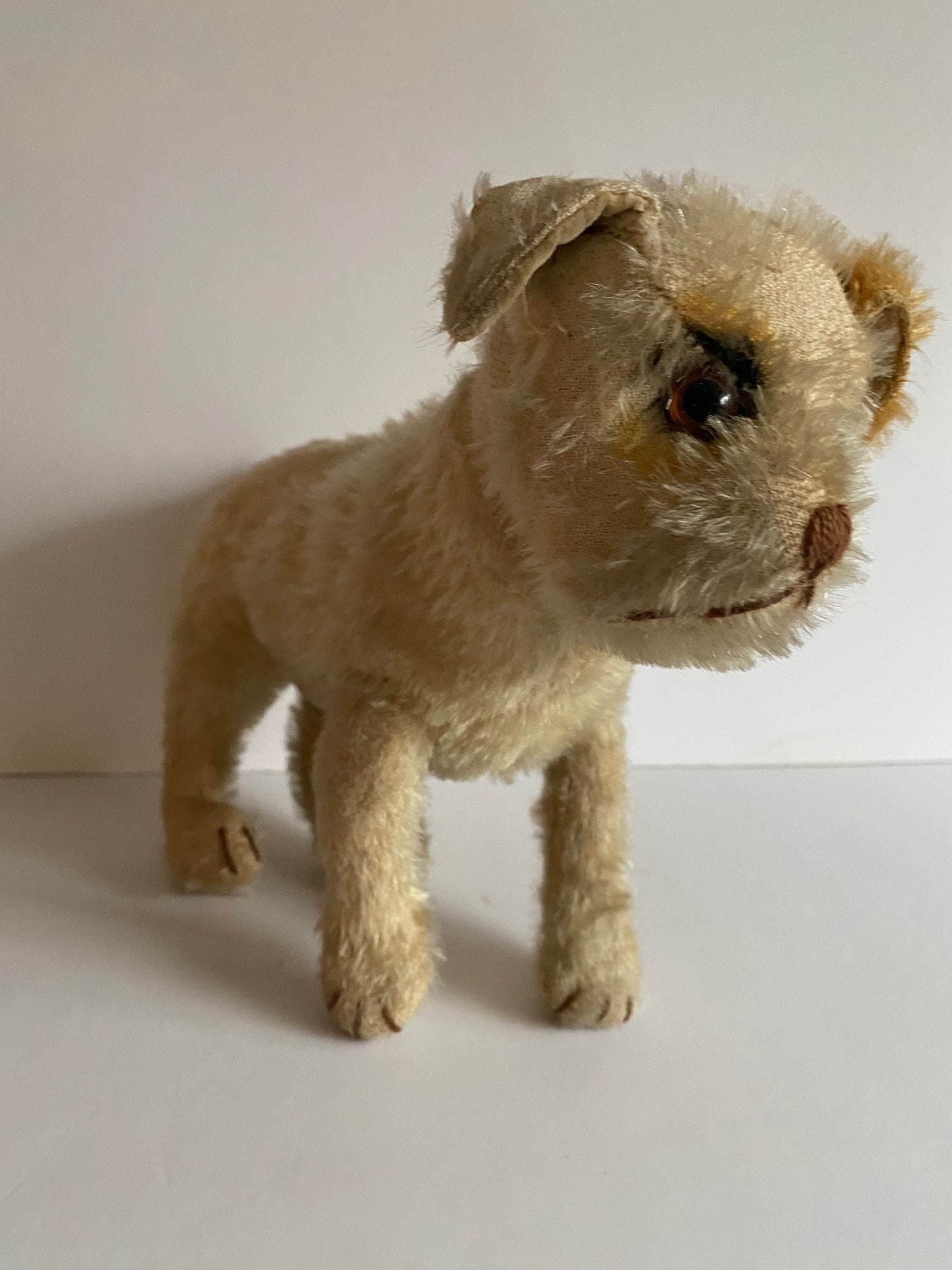OnOff　Girls Don't Cry × Steiff Early Steiff 1920's Spot Eye Dog / Pup on All 4's With FF