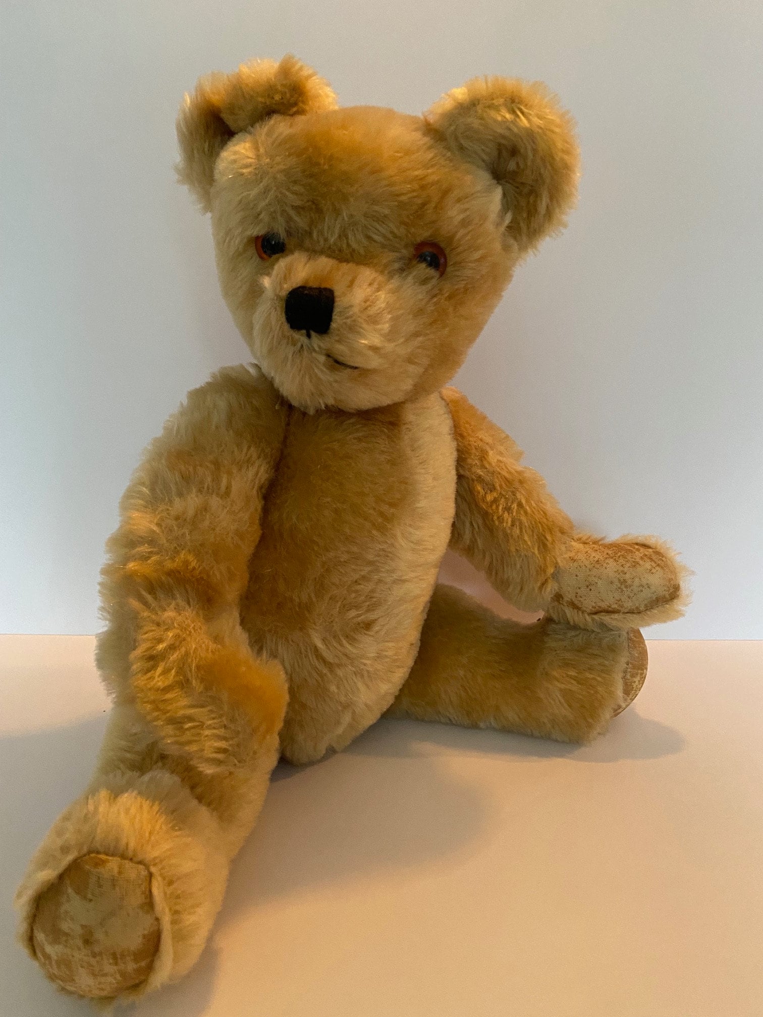爆買い！】 BEAR TEDDY ENGLISH THE COMPANY メルカリ - 中古