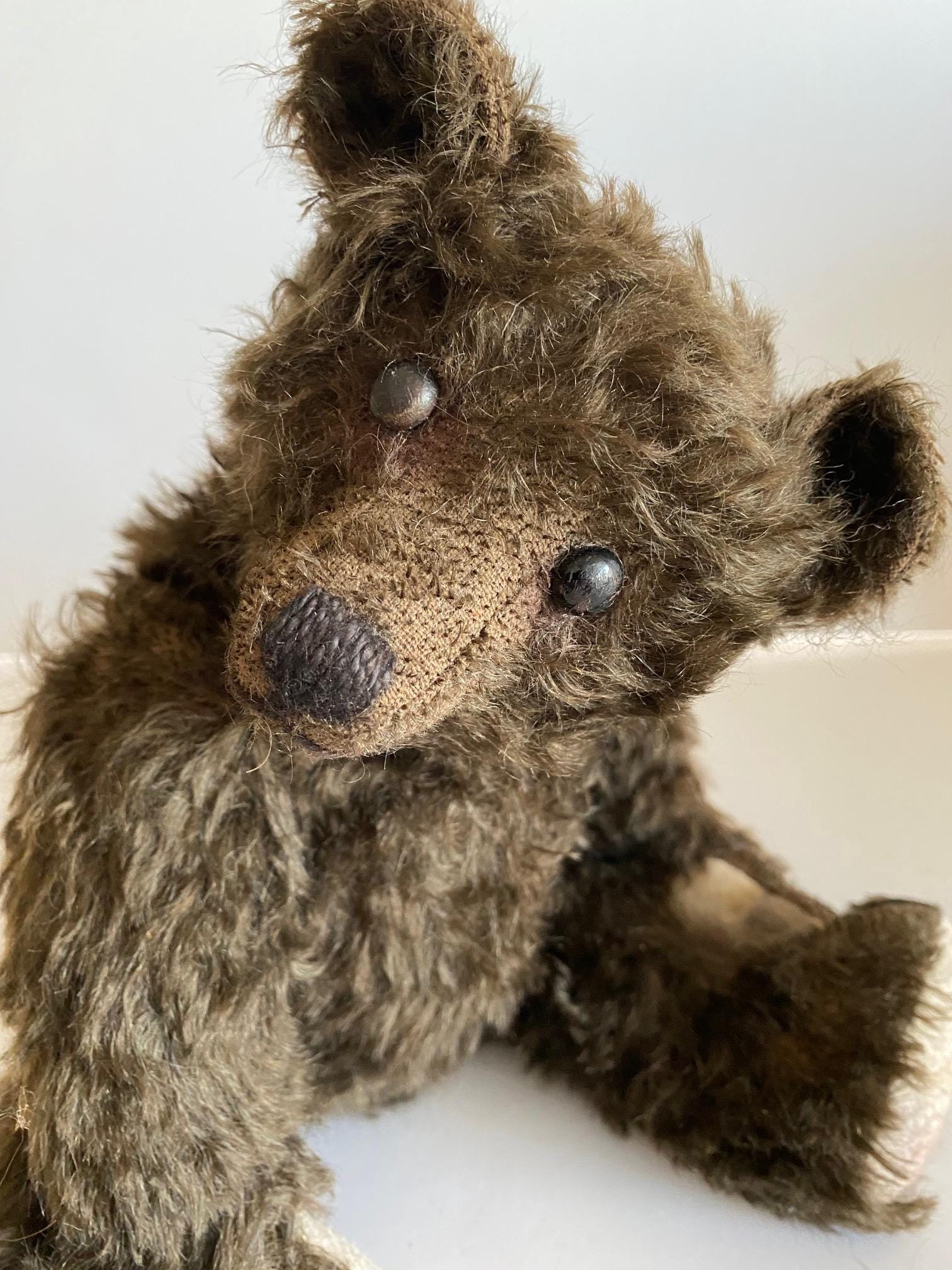 Antique steiff bear - Etsy 日本