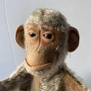 Puede incluir: Un títere de mono de peluche vintage con pelaje marrón y ojos grandes y azules. El títere tiene una boca cosida y una nariz larga y fina.