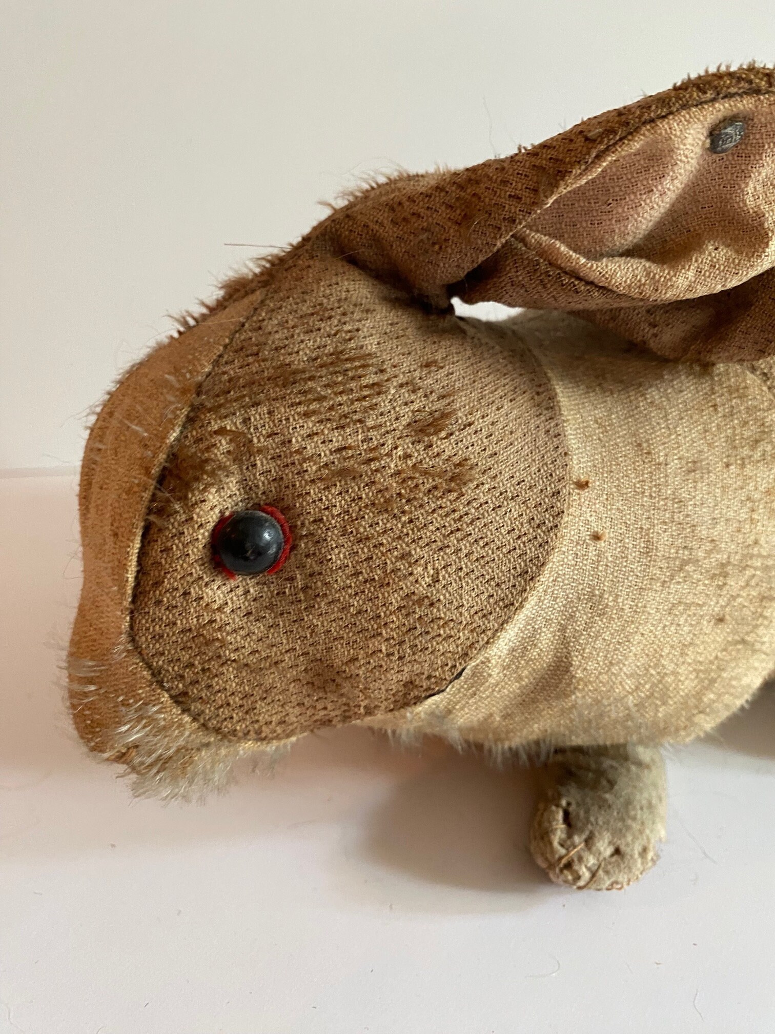 Very Early but Worn Steiff Holland Rabbit Brown and White With Ff ...