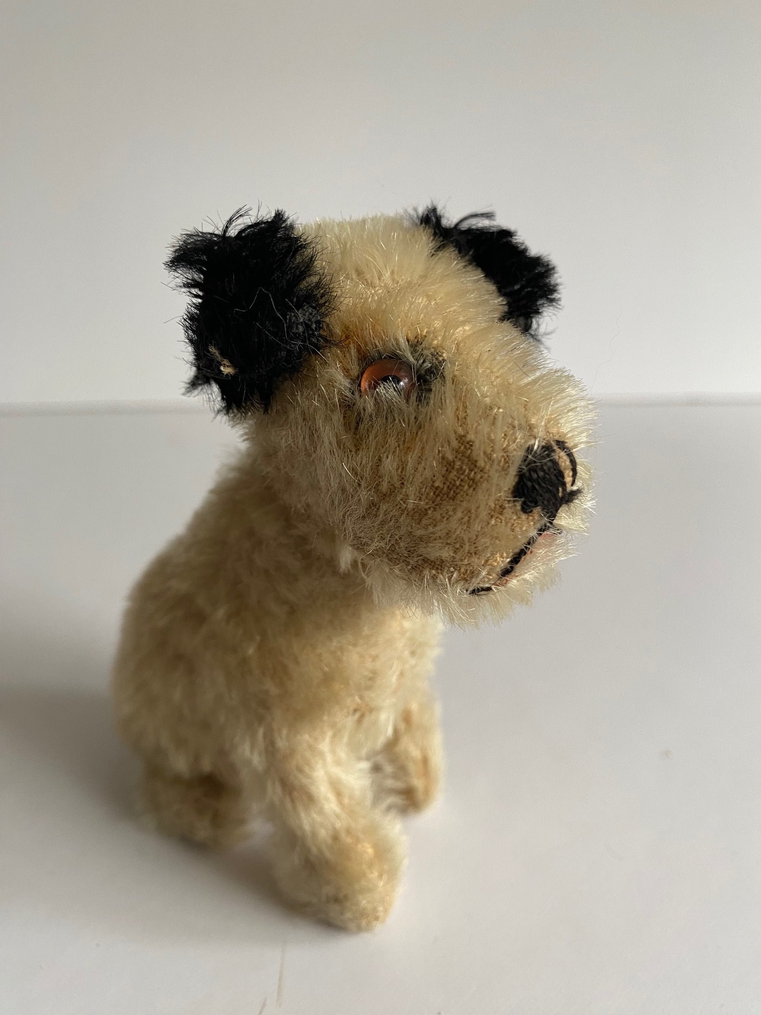 Steiff fox terrier - Etsy 日本