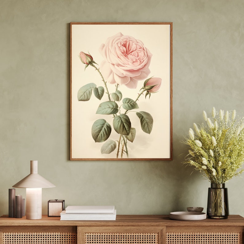 Timeless Beauty of 18th-century Botanical Roses - Etsy