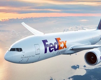 Shipped Within the Day, same day shipping via Express Cargo, fedex