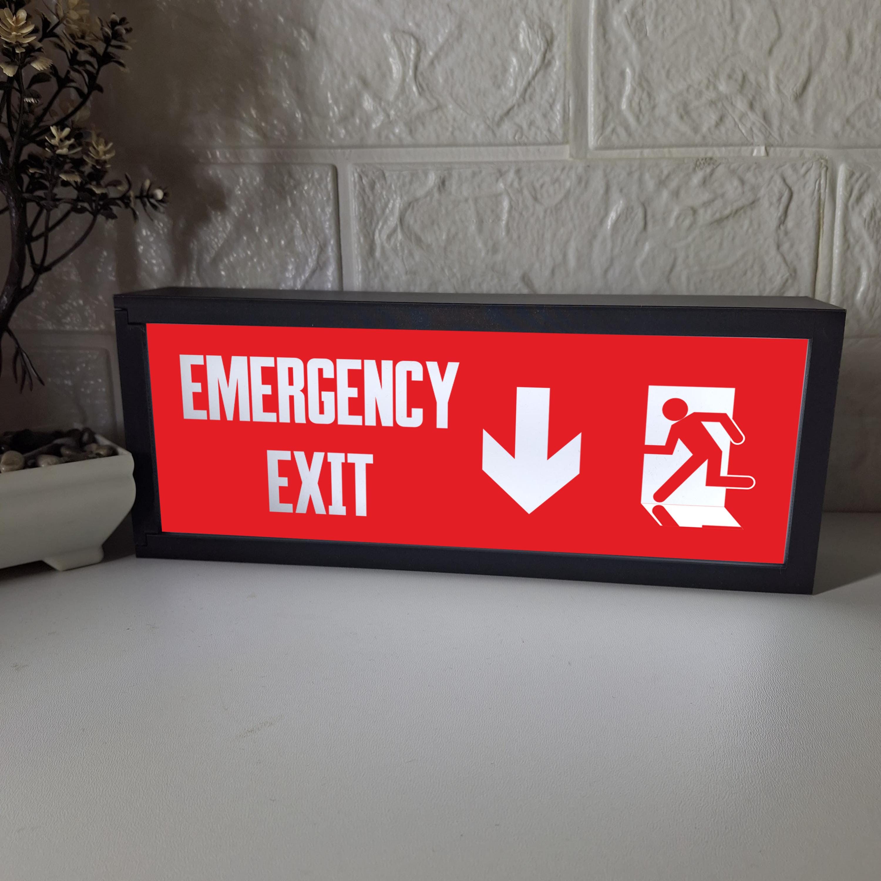 Exit Sign Light Box, Emergency Exit Sign, Fire Exit, Workplace