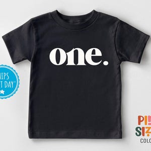 One Birthday Toddler Shirt - Retro First Birthday Kids Tee - Minimal Birthday Kids Gift - White