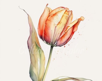 Clipart tulipe | 10 images de haute qualité | Ensemble d'art numérique | Images haute résolution | Aquarelle, Dessin au trait, Art mural