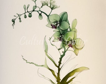 Orchid Clipart | 10 High Quality Images | Digital Art Bundle | High Resolution Images | Watercolor, One Line Art, Wall Art