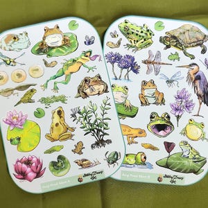 May include: Two sticker sheets featuring colorful illustrations of frogs, turtles, dragonflies, and other pond life. The sheets are labeled "Frog Pond Sheet A" and "Frog Pond Sheet B" with the artist's signature. The stickers are on a light blue background.