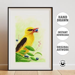 Golden Oriole Watercolorn Print Bird Art Poster Yellow Bird Artwork for Nursery Decoration Living Room Wall Decor Digital Download