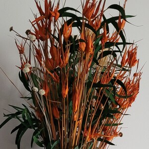 Bouquet of dried flowers